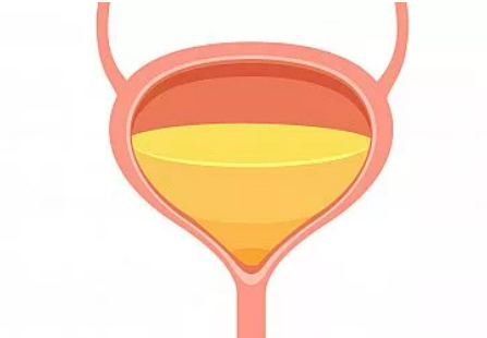 What Causes A Weak Bladder?