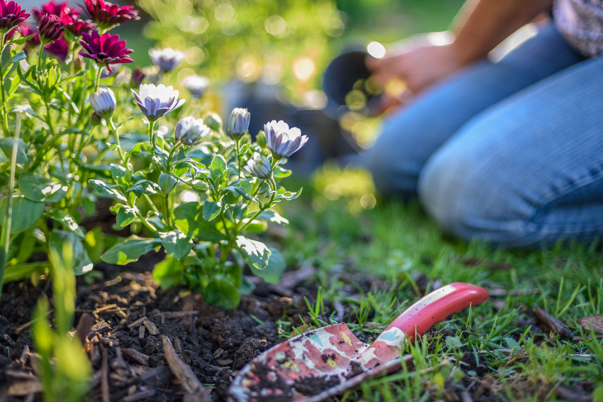 Spring Renewal: Refresh Your Pelvic Health Routine